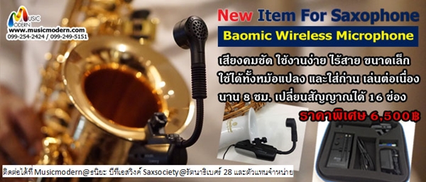 Baomic Wireless Microphone