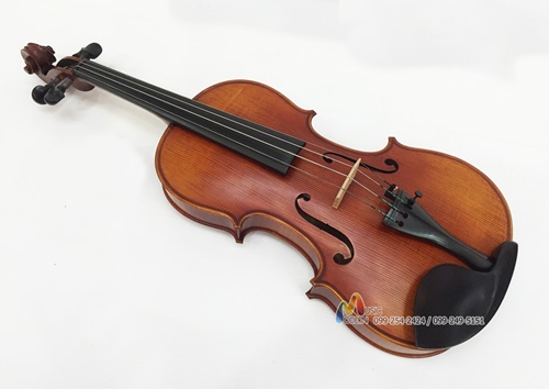 Hofner violin AS-360 ไวโอลิน ฮอฟเนอร์