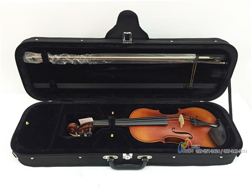 Hofner violin AS-360 ไวโอลิน ฮอฟเนอร์
