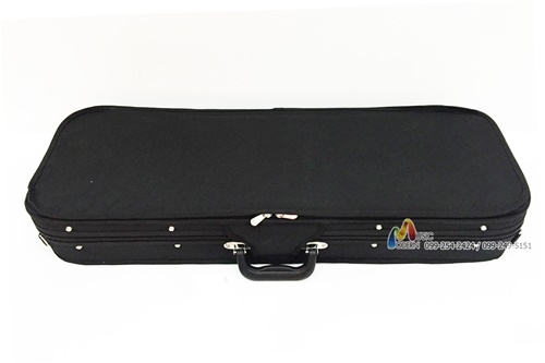 Hofner violin AS-360 case ไวโอลิน ฮอฟเนอร์
