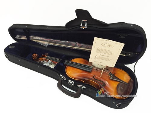 Hofner violin H-8 ไวโอลิน ฮอฟเนอร์ (Made in Germany)