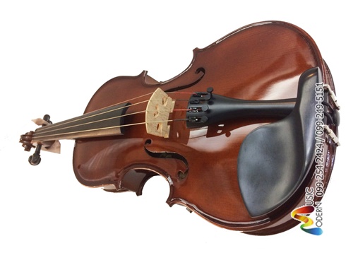 Hofner viola AS-060 VA วิโอลา ฮอฟเนอร์ ขนาด 16”
