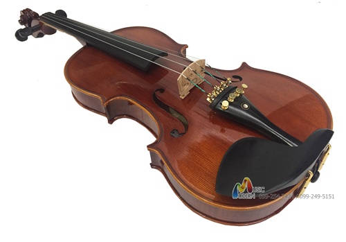 Overtone Violin OV600