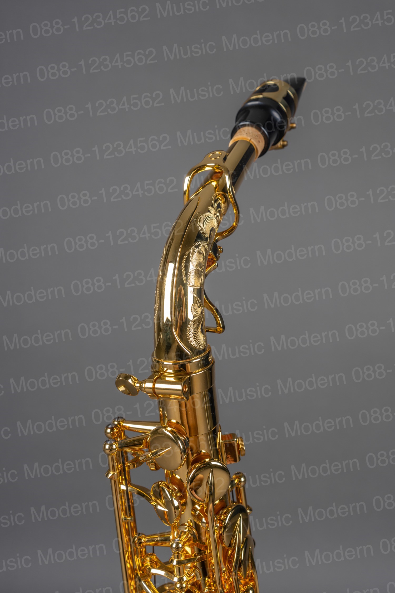 Yanagisawa Alto Saxophone A-WO20 GP