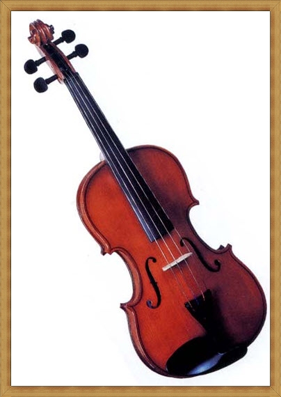 Jacobson Violin MV-12 ไวโอลินจาคอปสัน