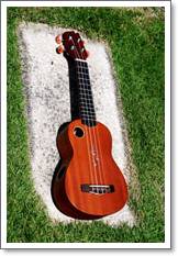 Ukulele Riptide (ยูกูเลเล่,อูคูเลเล่) US-5NS