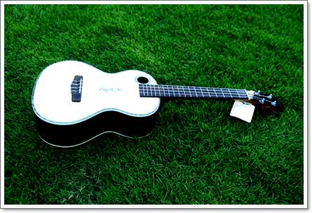 Ukulele Riptide (ยูกูเลเล่,อูคูเลเล่) US-2N