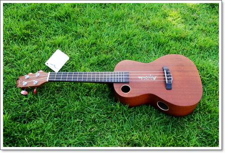 Ukulele Riptide (ยูกูเลเล่,อูคูเลเล่) UT-5NS