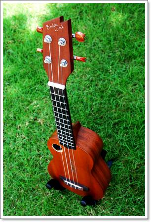 Ukulele Riptide (ยูกูเลเล่,อูคูเลเล่) UT-5NS