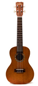 Cordoba Ukulele (ยูกูเลเล่, อูคูเลเล่)  UP110