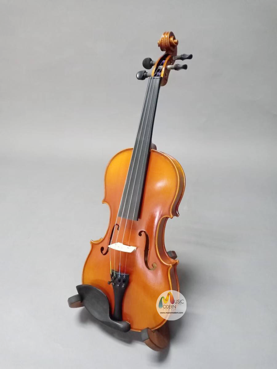 Hofner violin H-5G  ไวโอลิน ฮอฟเนอร์