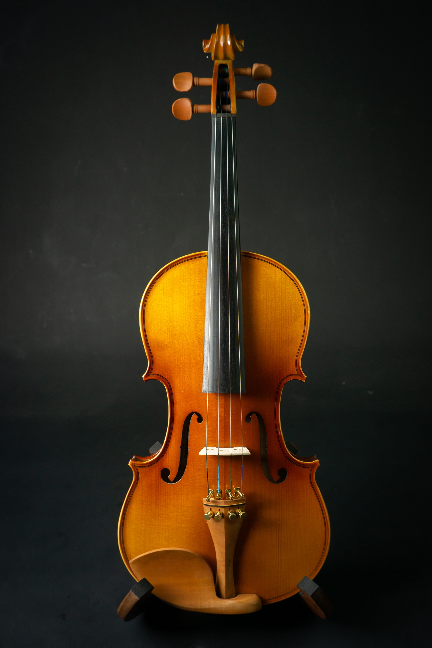 Overtone Violin OV200 ไวโอลินโอเวอร์โทน OV200