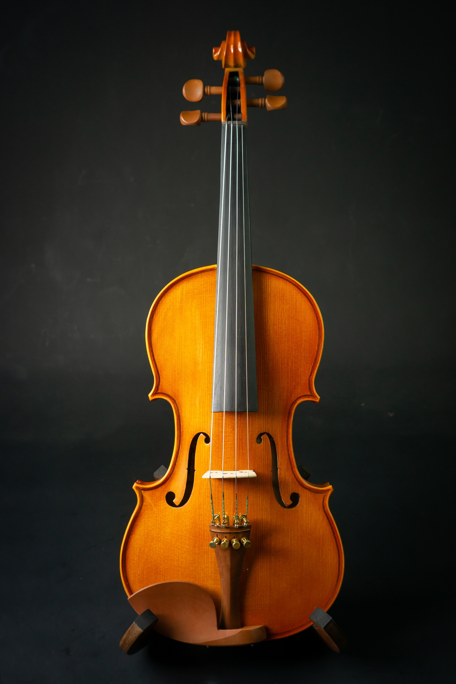 Overtone Violin OV300 ไวโอลินโอเวอร์โทน OV300