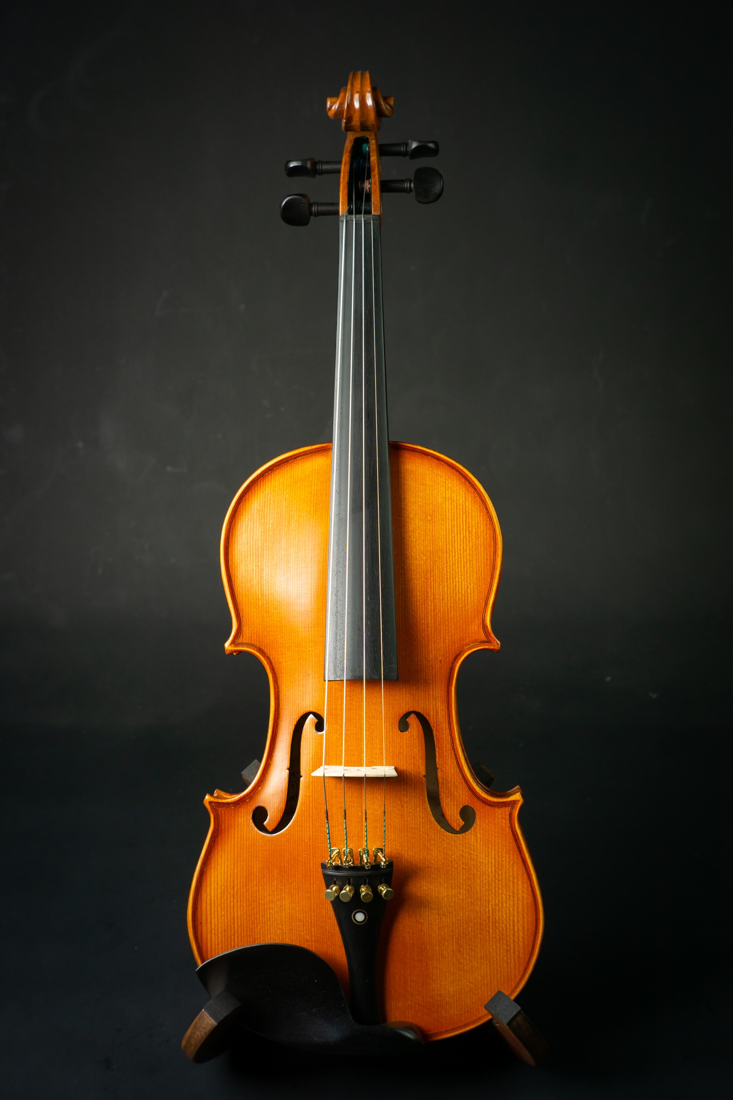 Overtone Violin OV500 ไวโอลินโอเวอร์โทน OV500